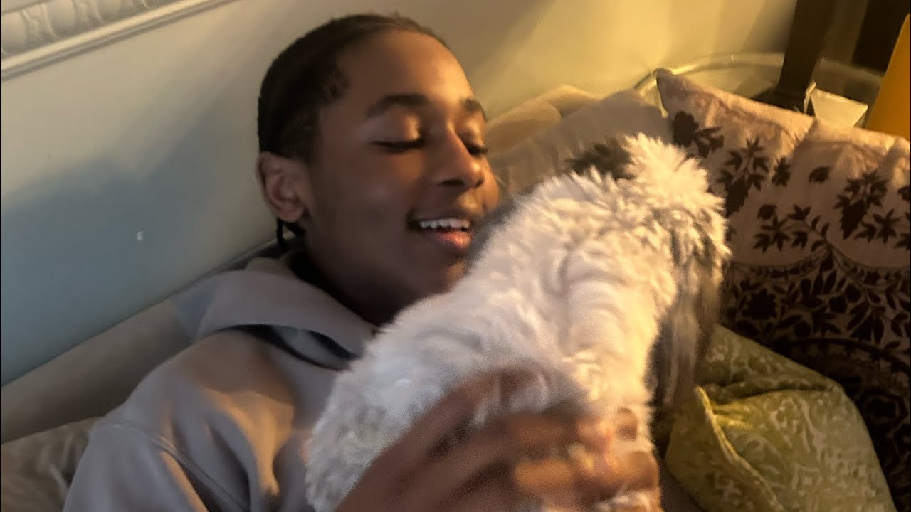 “mini vlog: my afternoon”