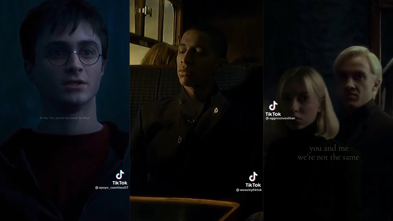 Harry Potter Boys x Y/N TikTok POV