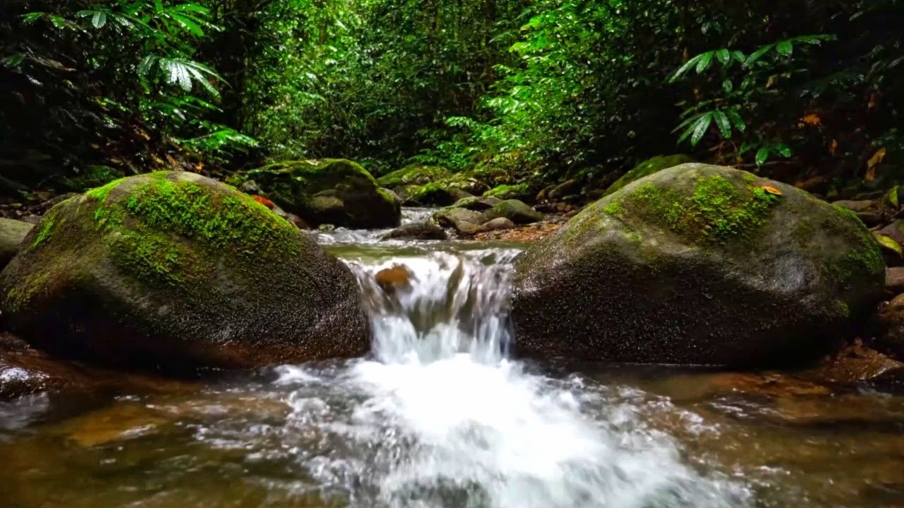 PEACEFUL RIVER SOUNDS, BIRDS AND SOFT PIANO MUSIC FOR NIGHT SLEEP THERAPY