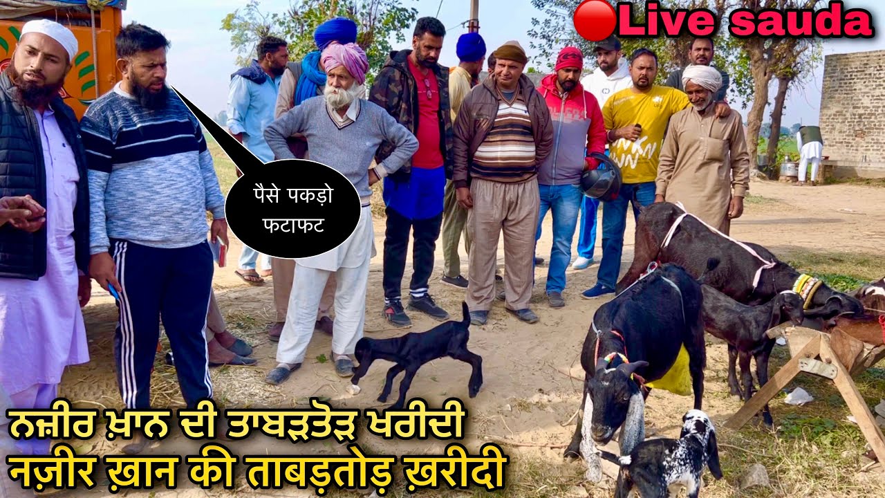 नज़ीर ख़ान बकरियों की ताबड़तोड़ ख़रीदी #live_sauda Mullanpur bakri bazar goat farming @farming baba m