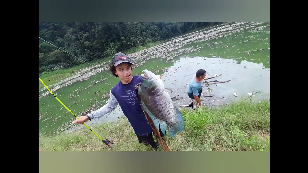 pesca en orilla en Laguna del reventazón
