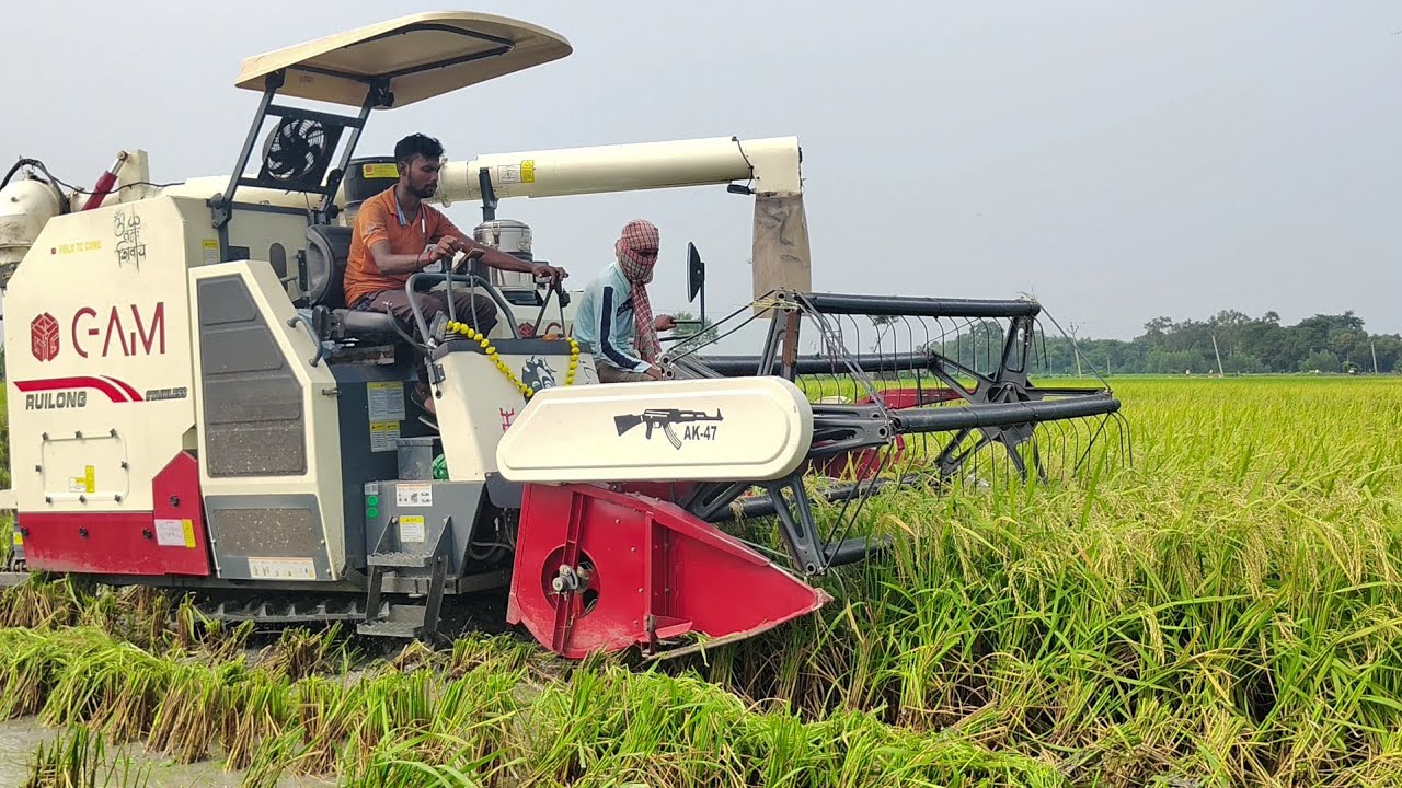 Gam Harvester Paddy Cutting Deep Mud | New Gam Harvester 88 Hp