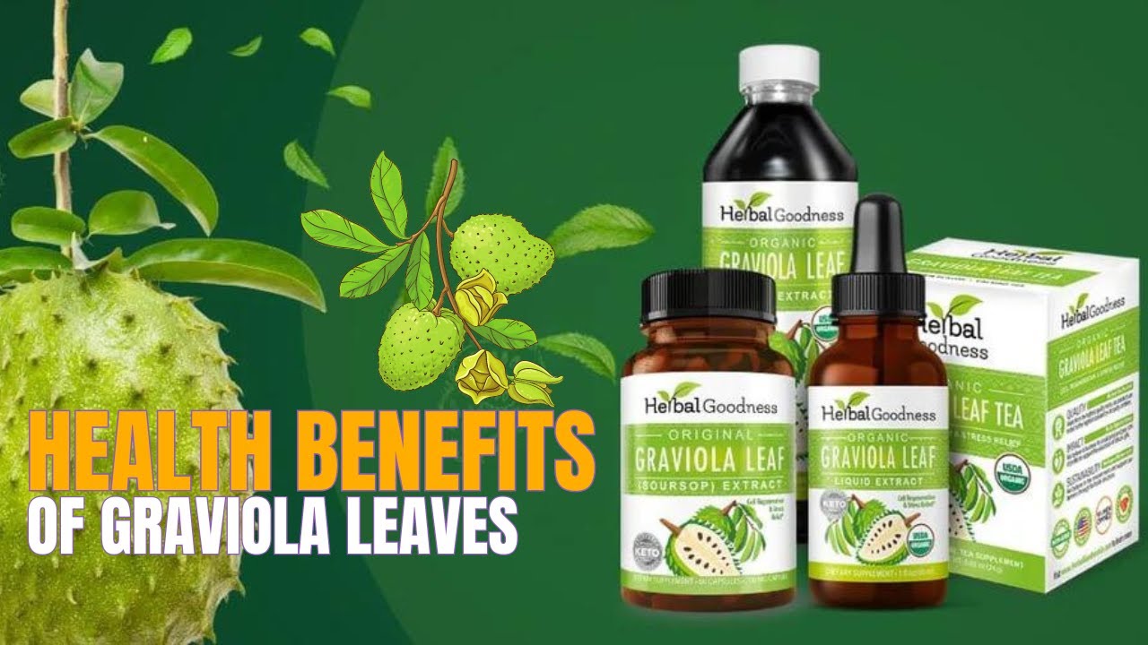 Health Benefits of Graviola Leaves - Herbal Goodness