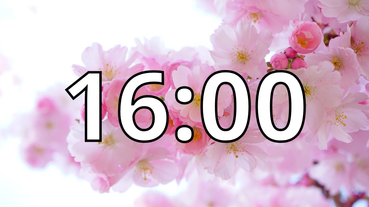 16 Minutes Timer with Music | Cherry Blossom Timer