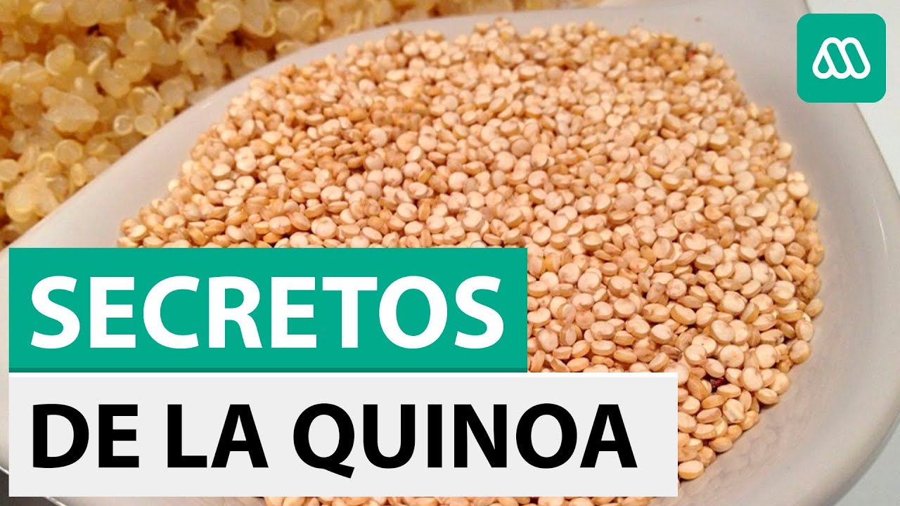 Súper alimentos: Los secretos y los beneficios de la quinoa