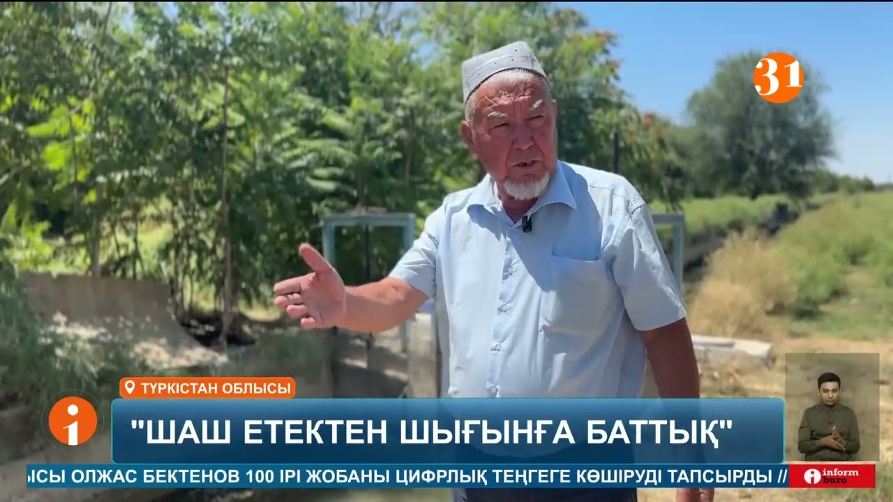 Мақта еккен шаруалар шаш етектен шығынға баттық деп шу шығарды