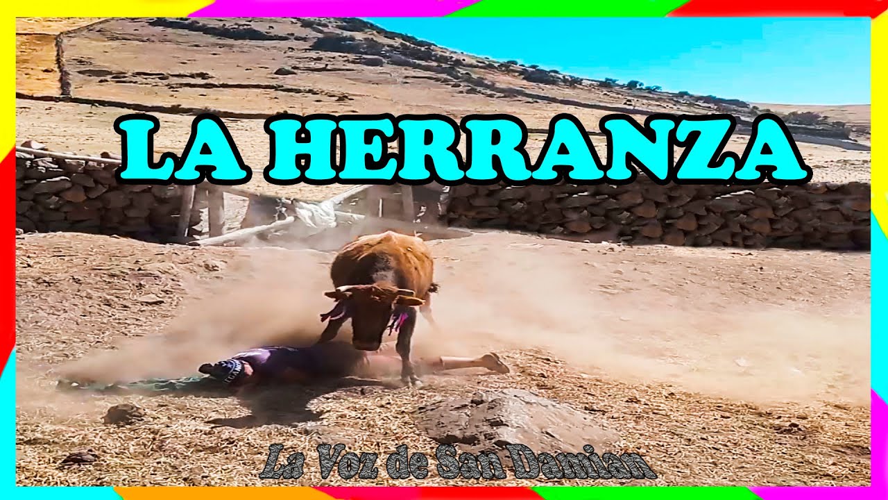 LA HERRANZA EN CONCHASICA - SAN DAMIAN 👍