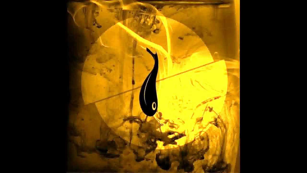 Fish in oil - Misir rumelije