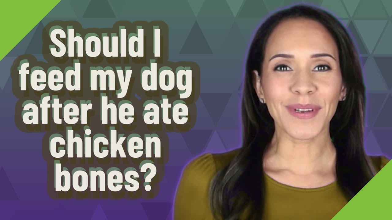 Should I feed my dog after he ate chicken bones?