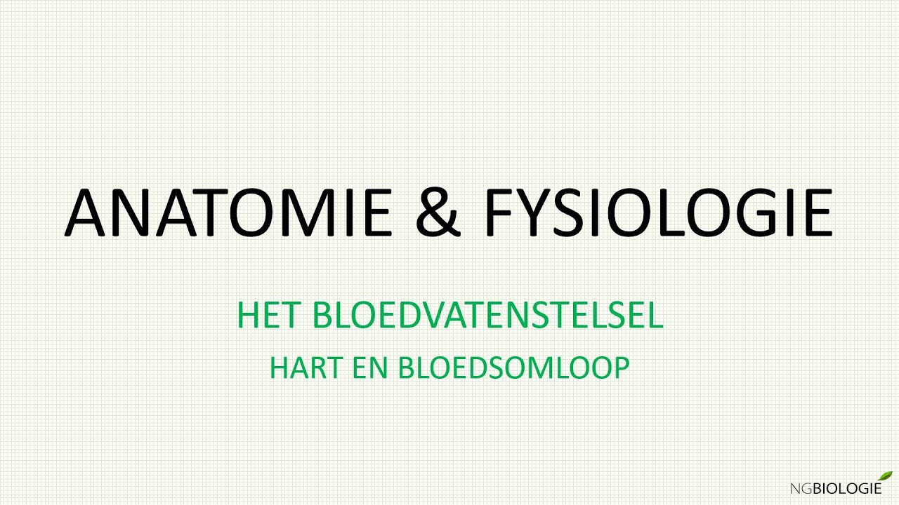 Hart en bloedsomloop