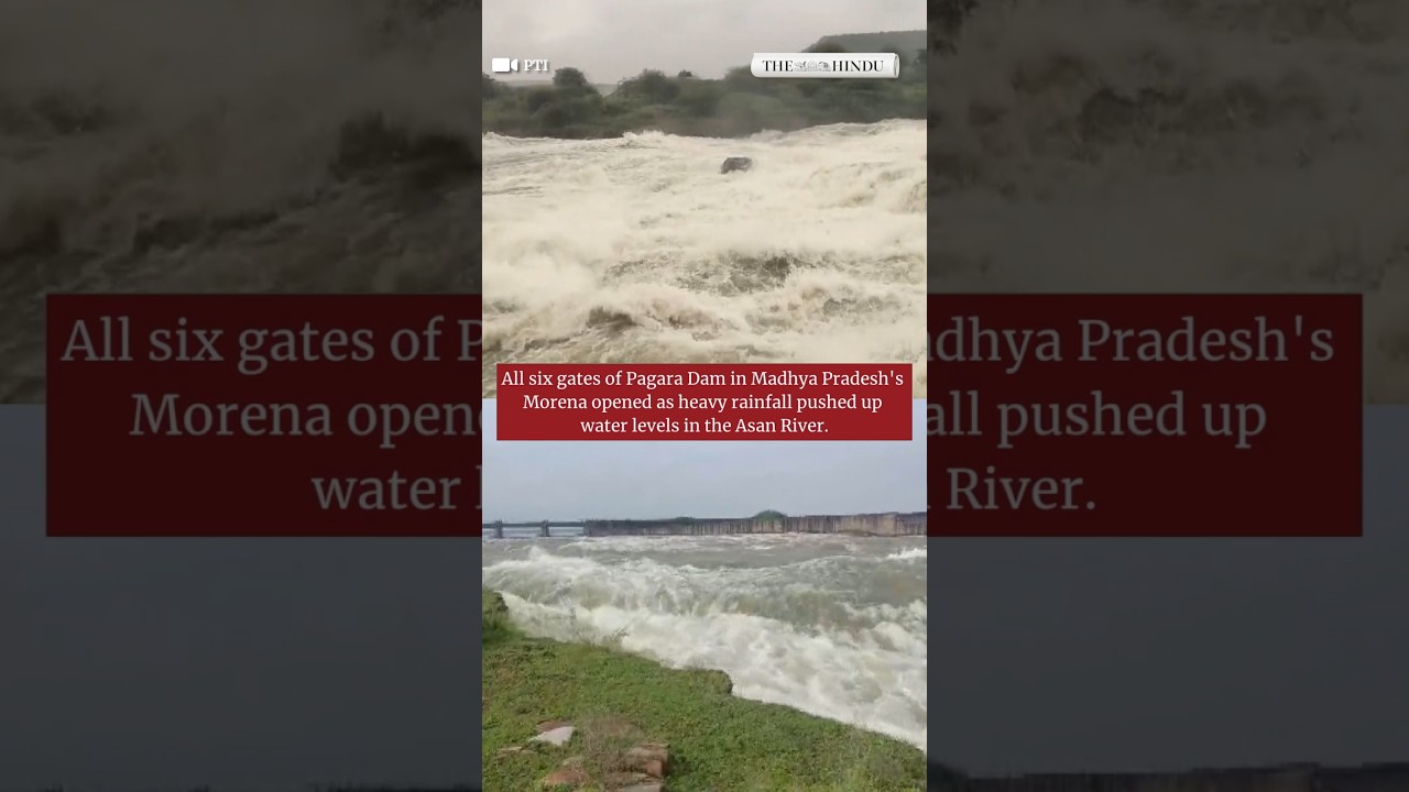 All six gates of Pagara Dam opened as Asan River swells in Morena