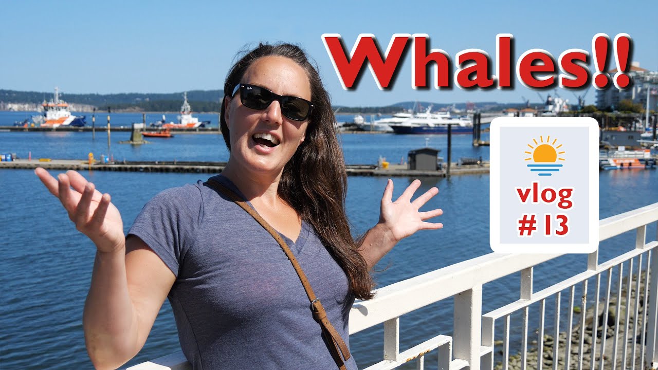 Road trip to Vancouver Island - Sunshine Coast, BC Vlog 13 🐳