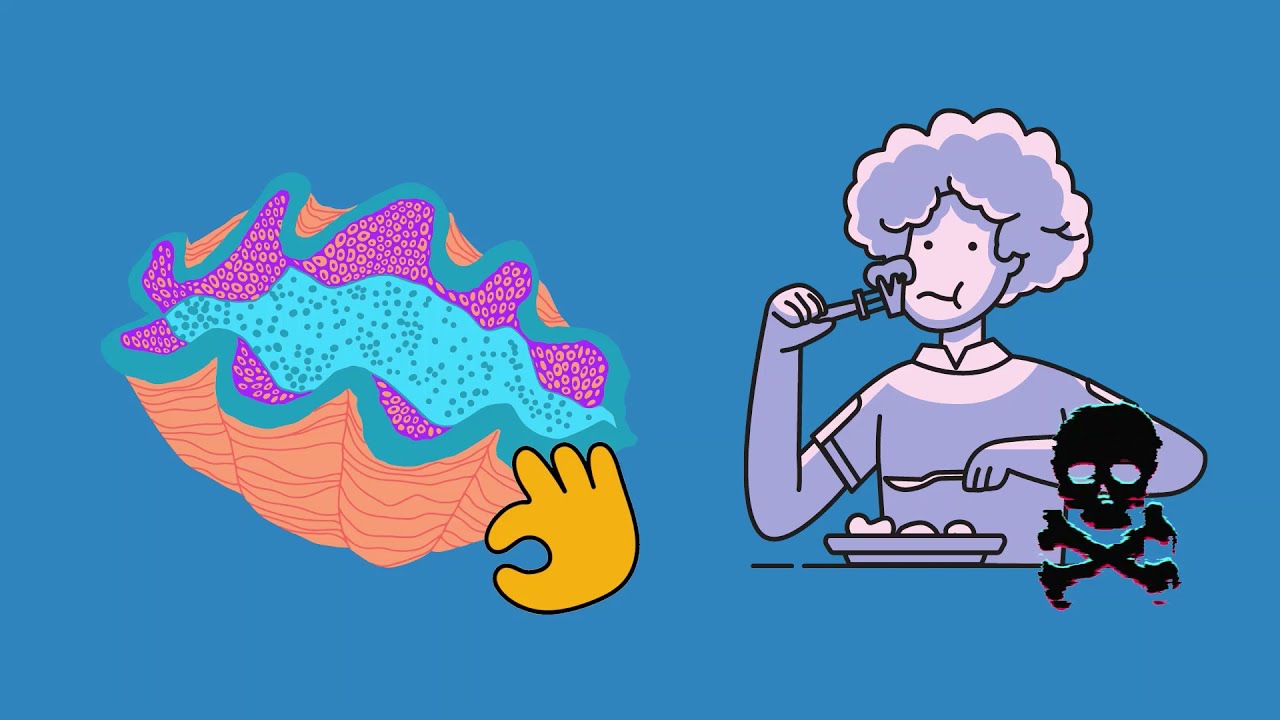 Types of Shellfish Toxins