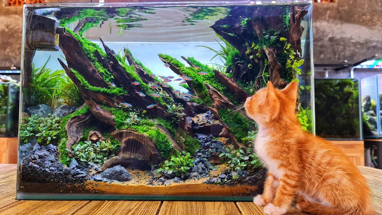 #276 wooowww,Aquascape mini godzilla style 50cm