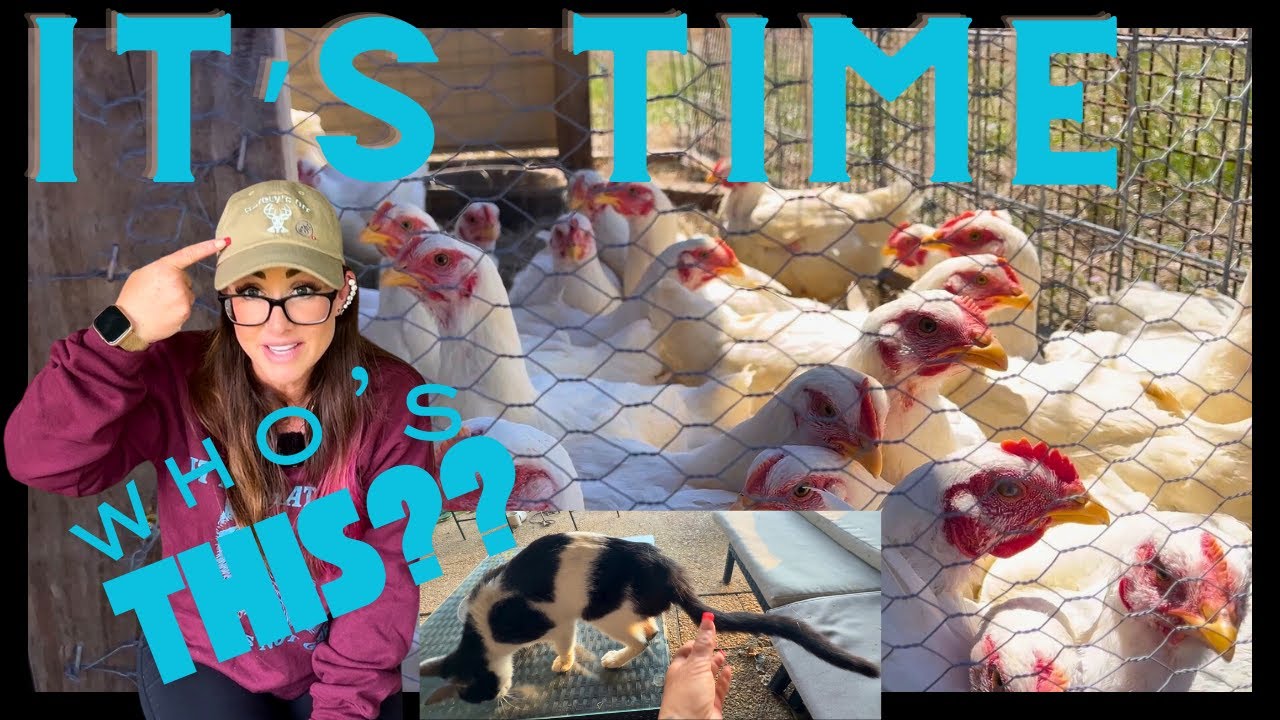 5 Bird Tips To Start NOW! | Surprise Arrival!!!