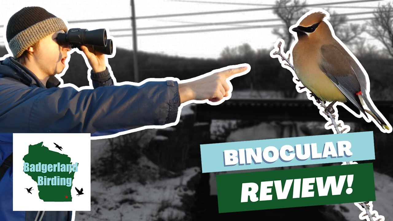 Best Budget Binoculars Under $50? (BriGenius 10x50 Binocular Review)