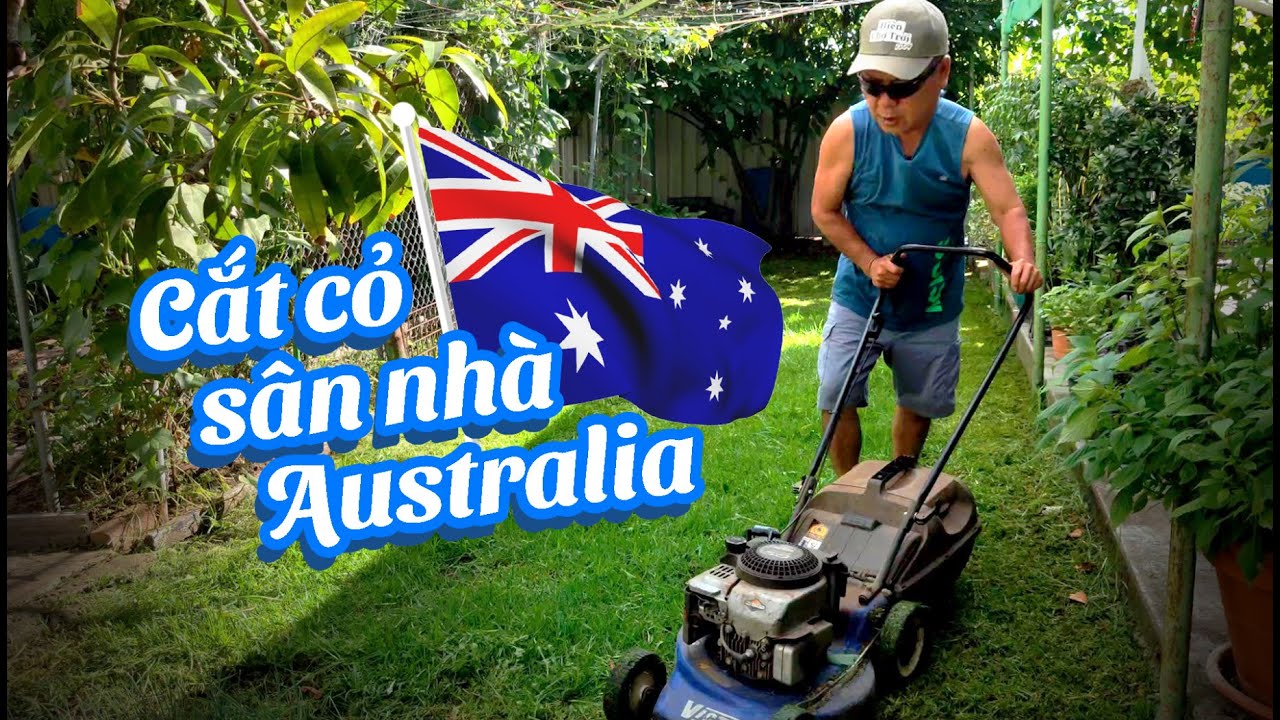 Cuộc Sống Úc: Cắt Cỏ sau vườn kiểu Tây | Mowing the Lawn