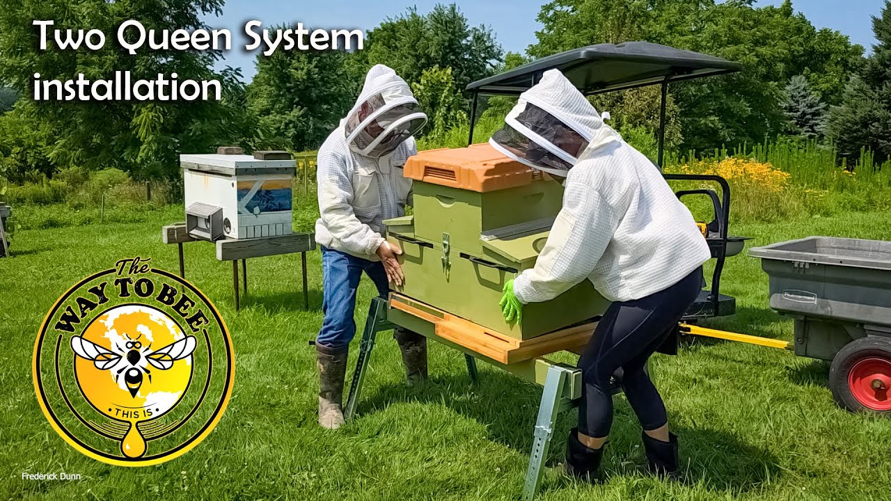 The Keepers Hive Two Queen System and The Super Split Install