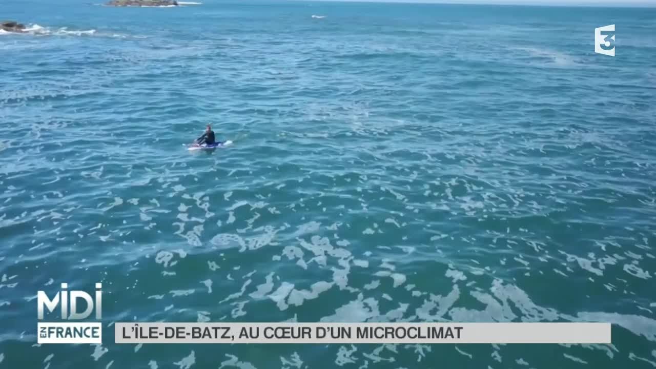 FEUILLETON : L'Île de Batz, au coeur d'un microclimat