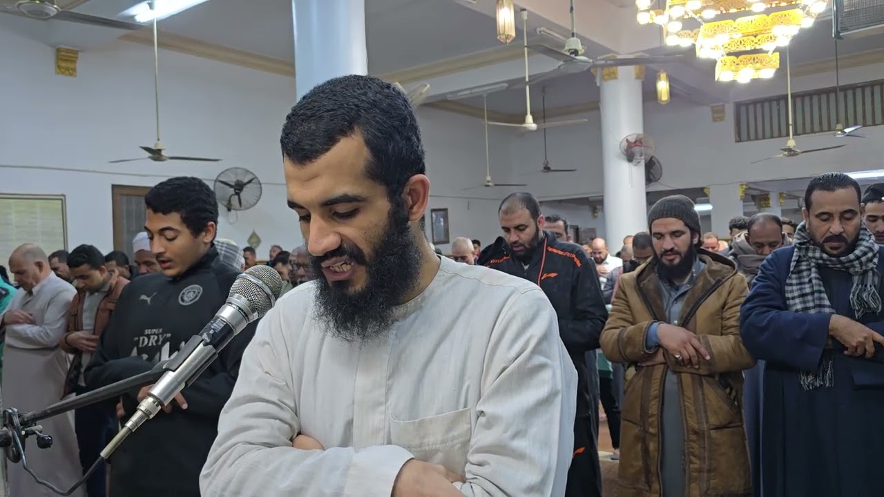 ٢٨ فبراير ٢٠٢٦