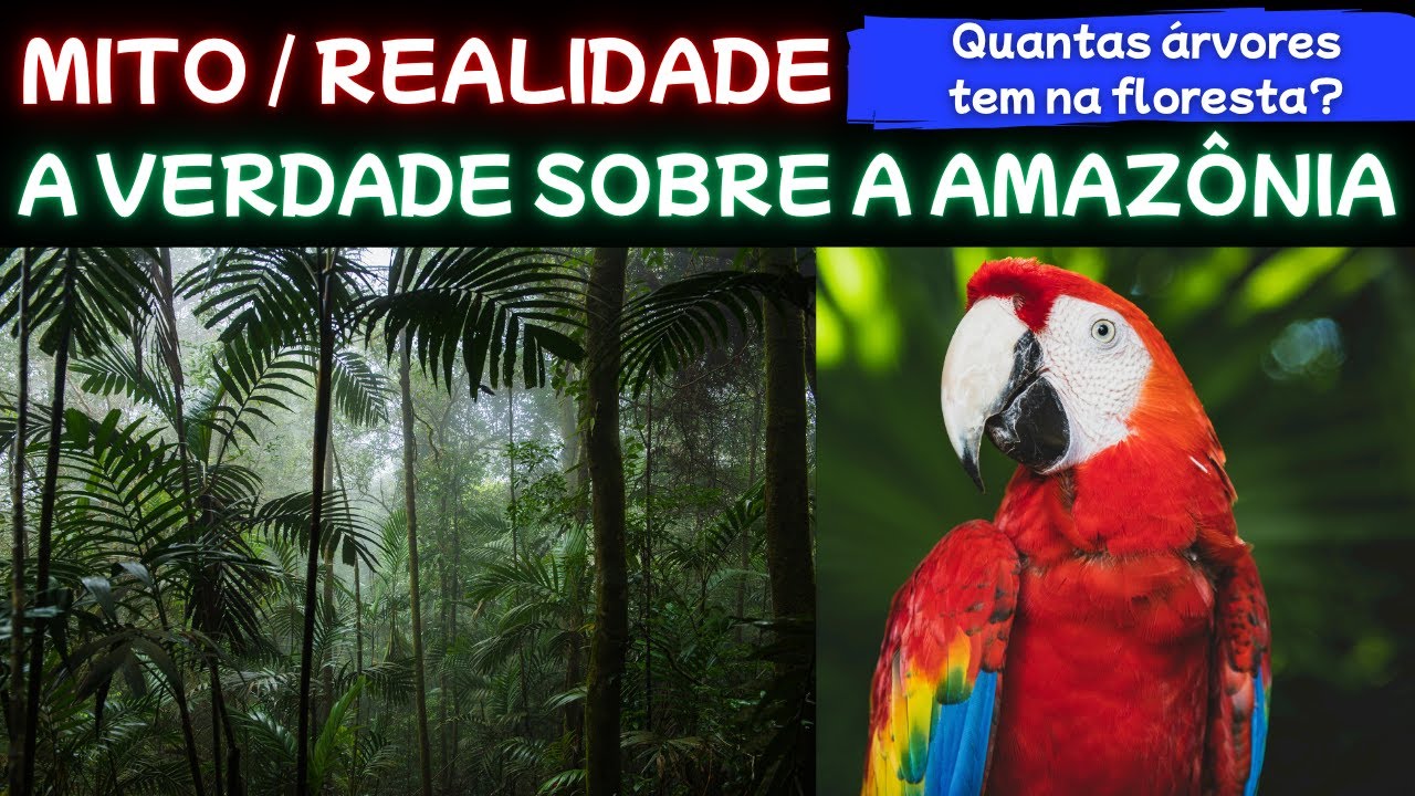 MITO | VERDADE | O Que NINGU&Eacute;M Te Contou Sobre a Amaz&ocirc;nia