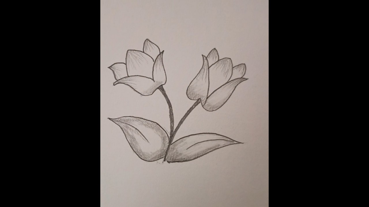 How to draw flower | Flower drawing step by step|