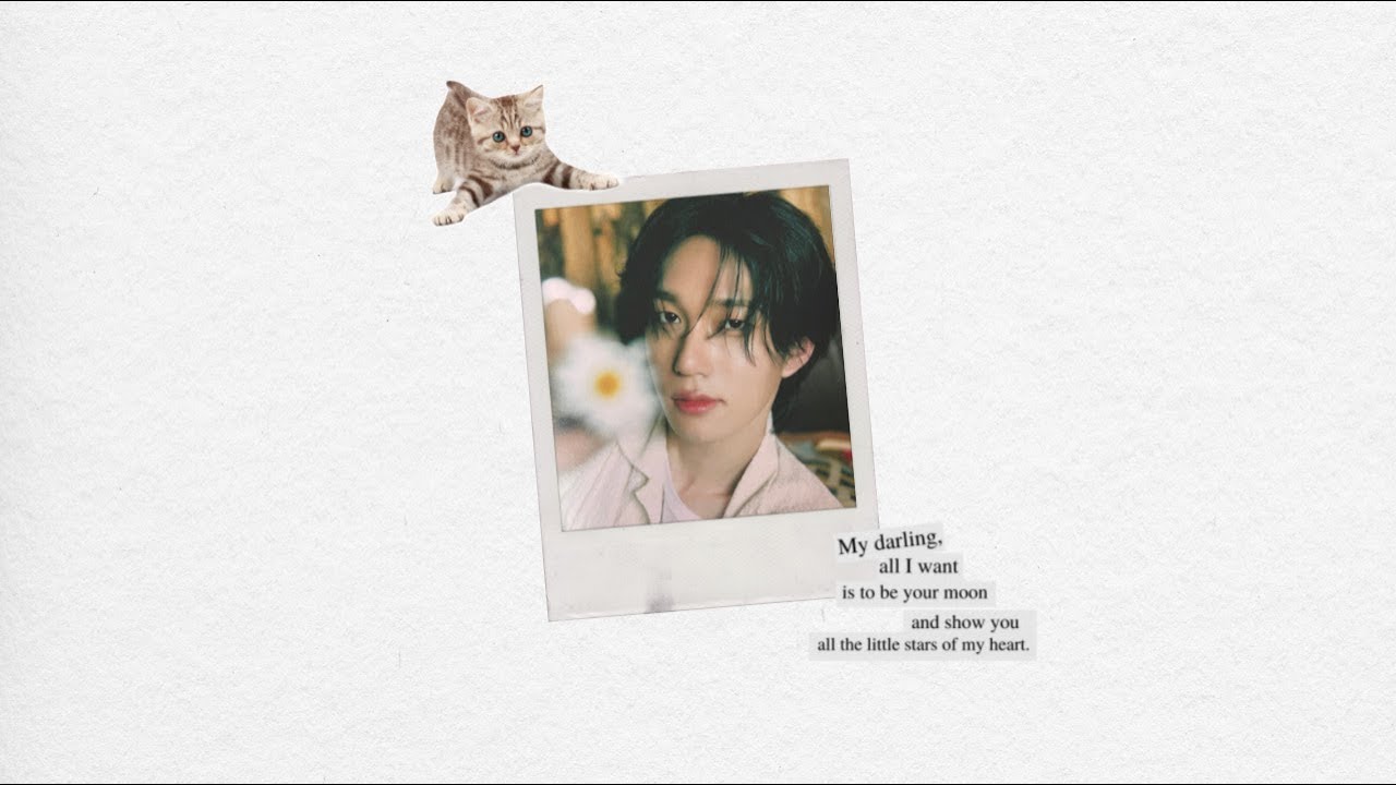 [ᴘʟᴀʏʟɪsᴛ] 피원하모니 테오 커버곡 모음 | P1harmony THEO 노래