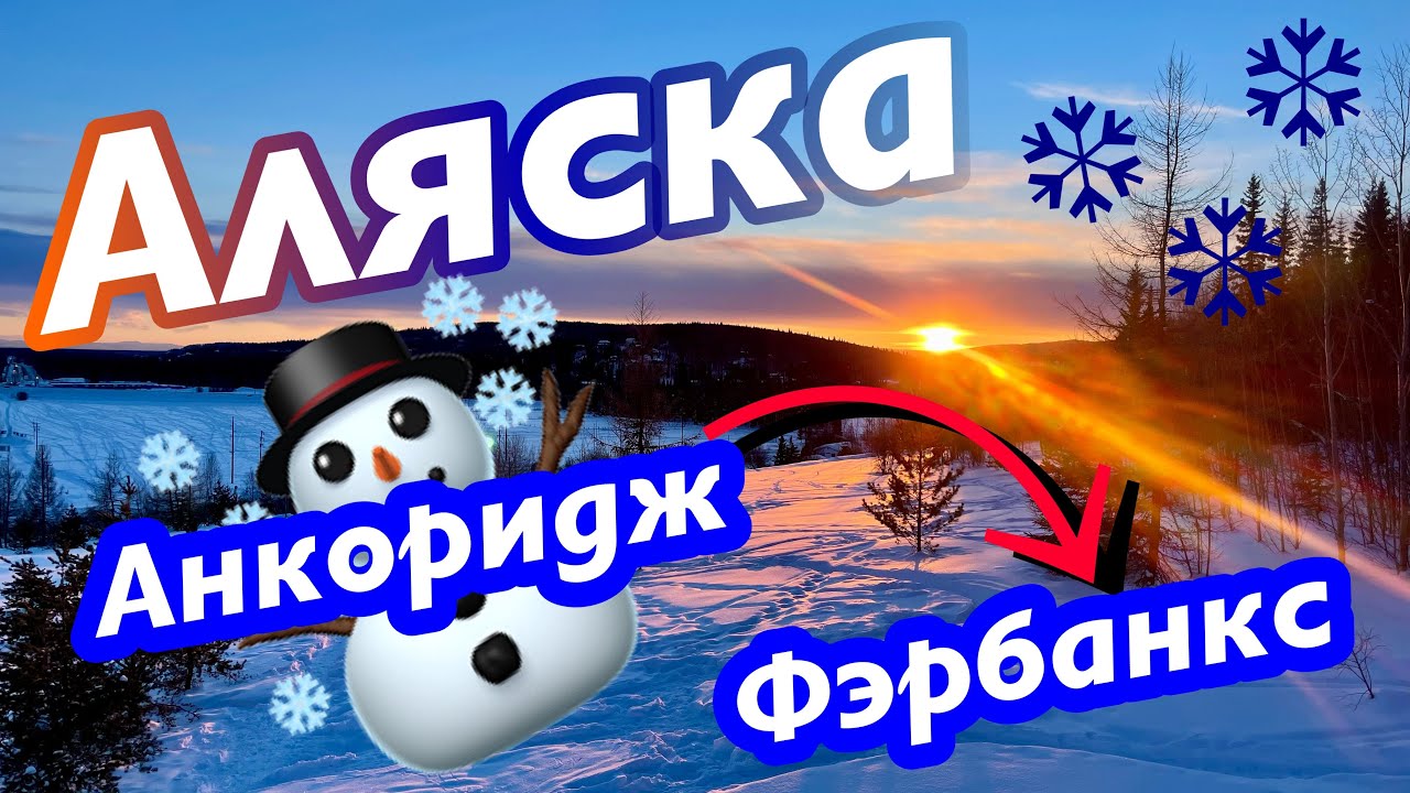 Большая Аляска: зимой на машине из Анкориджа в Фэрбанкс. Хаски, олени, лоси и горячий источник