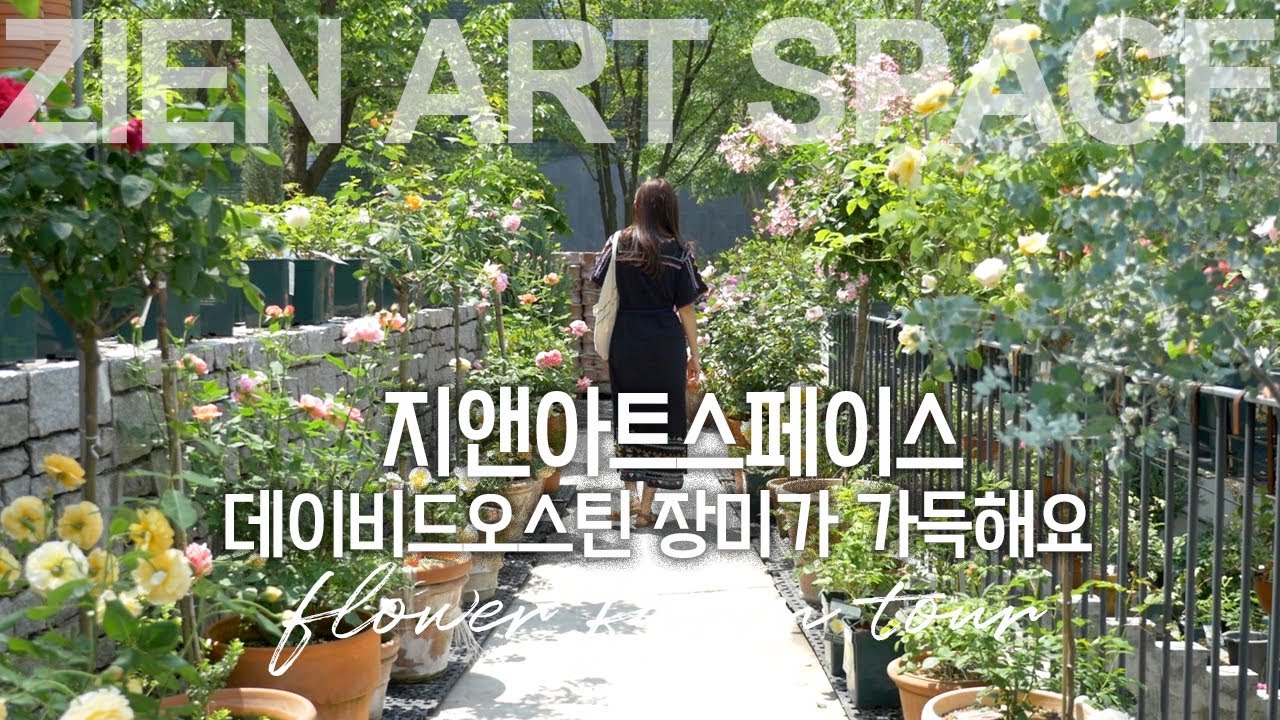 SUB) [서정이네가드닝외출] 데이비드오스틴 장미가 가득한 지앤아트스페이스 투어! David Austin Roses shop tour, rose garden