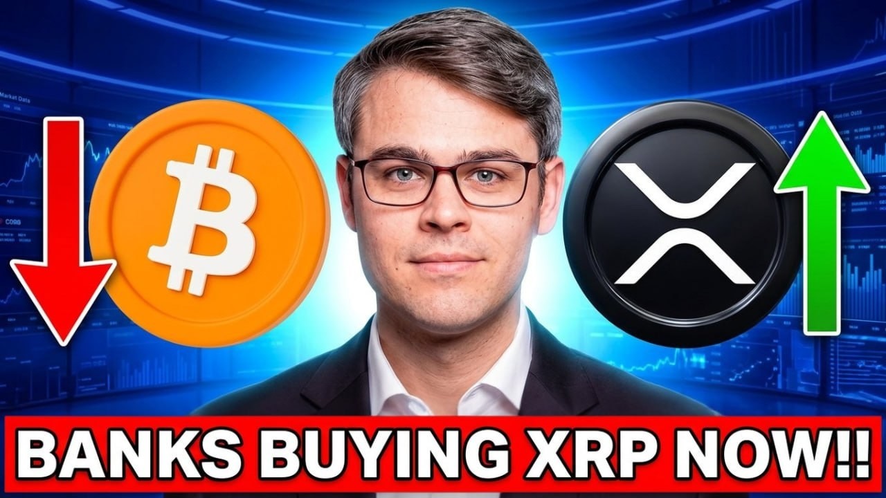XRP вышел на первое место после того, как закон о паритете официально исключил BTC из списка | BT...