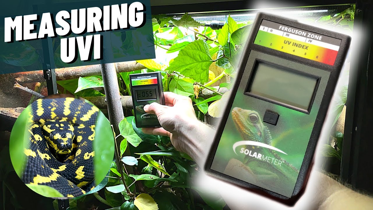 Measuring UVI in the Reptile Room with SolarMeter 6.5R