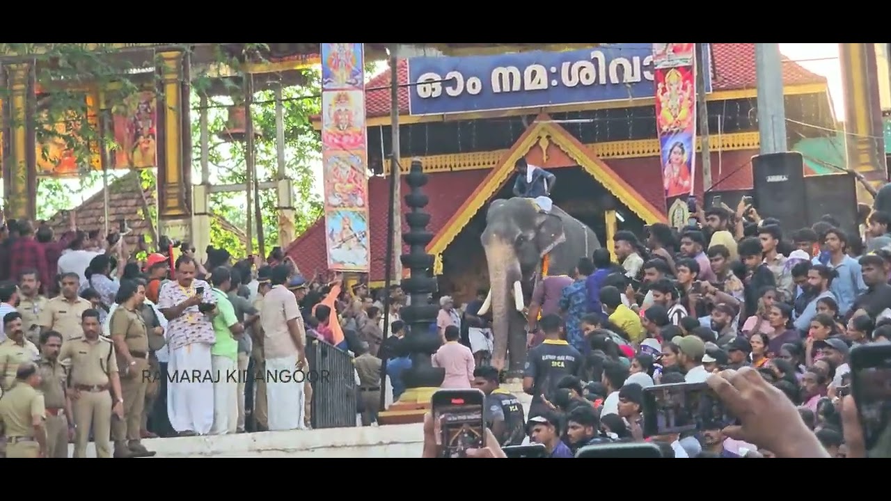 ഈരാറ്റുപേട്ട അയ്യപ്പൻന്റെ എൻട്രി thirunakkara pooram 2025 #ulsavam #youtubeshorts #viralvideo