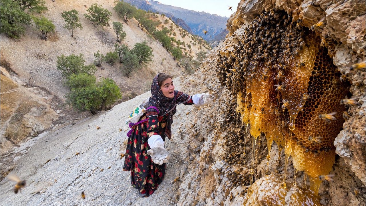 Nomadic Girl Harvests Wild Honey in the Harshest Mountains of the Zagros! 🐝🍯