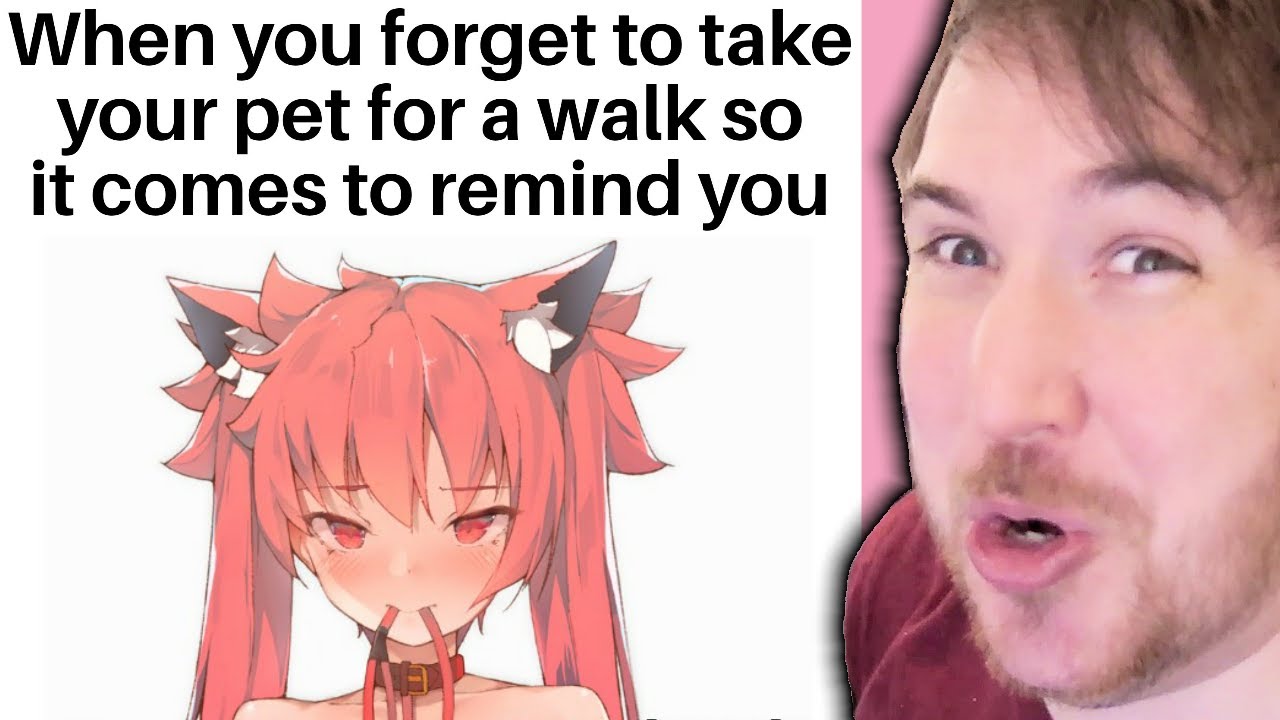 OFFBRAND ANIME MEMES (Taking your pet for a walk Edition)