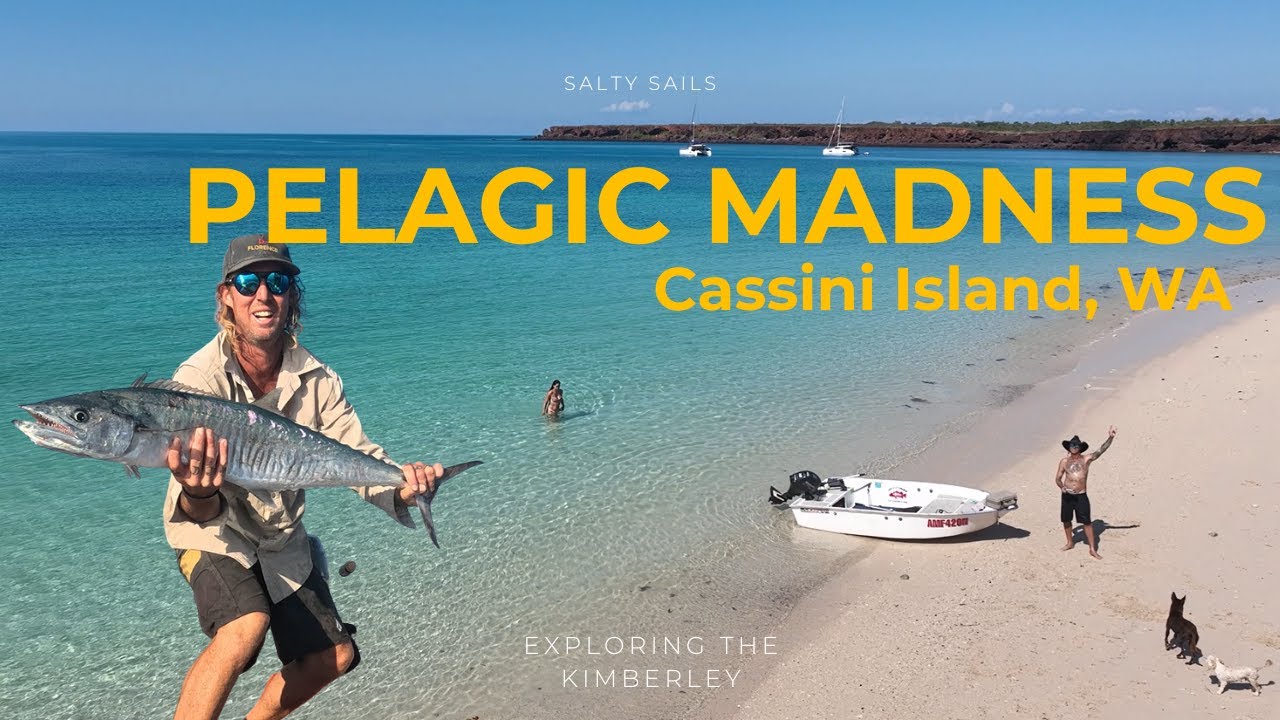 Cassini Island: A Catamaran's Journey into Pelagic Madness - Salty Sails S02E05