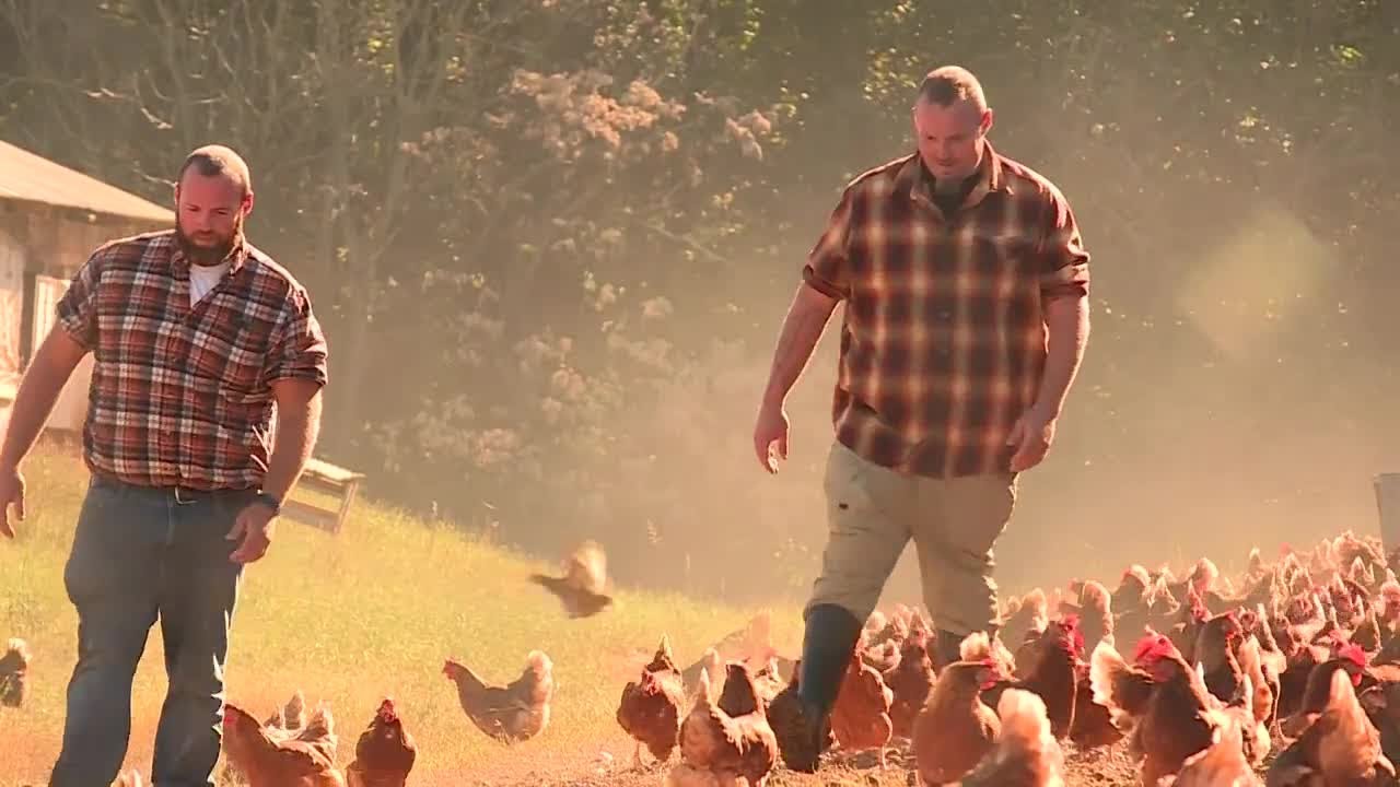 How you can help poultry farmers whose contracts ended when Tyson Foods closed