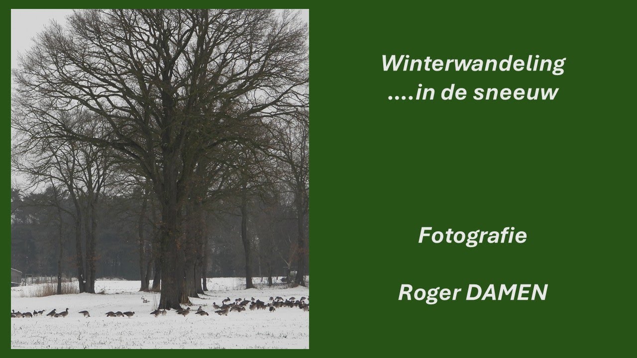 Winterwandeling