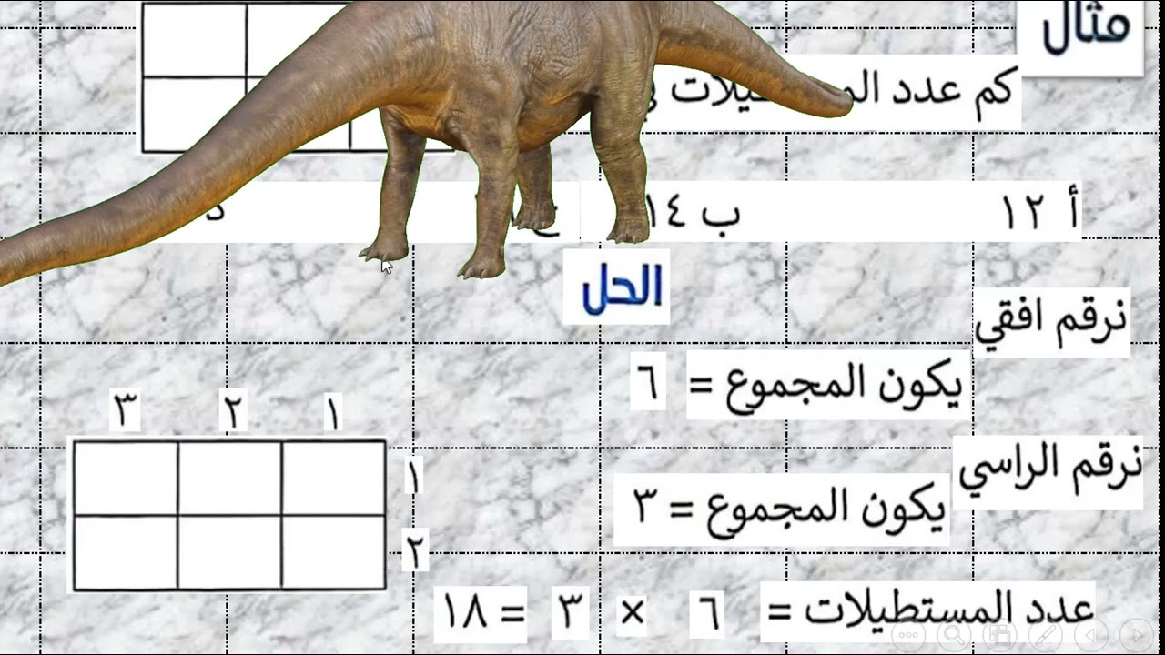 عدد المستطيلات والمربعات والمثلثات لشكل ما
