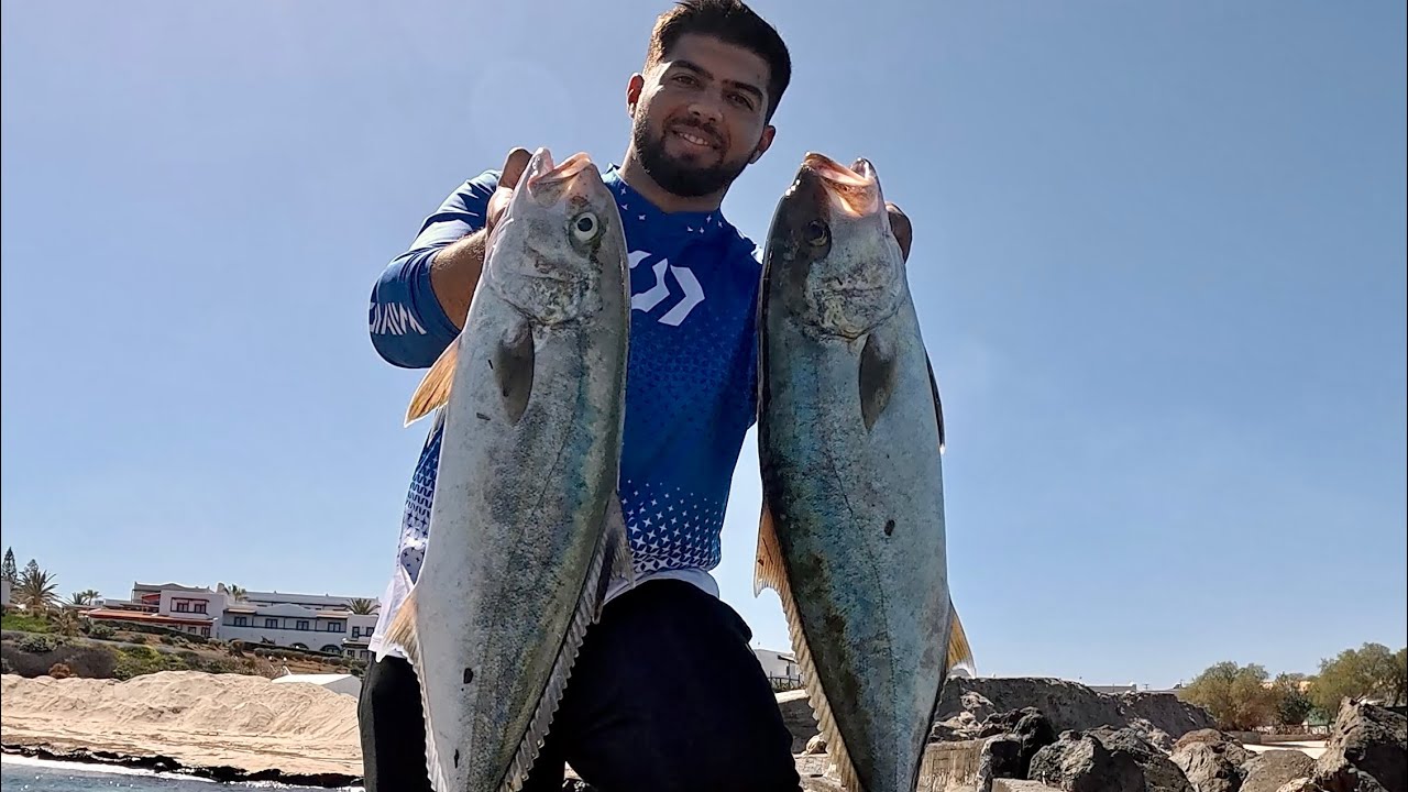 TWO AMBERJACK IN 1 .