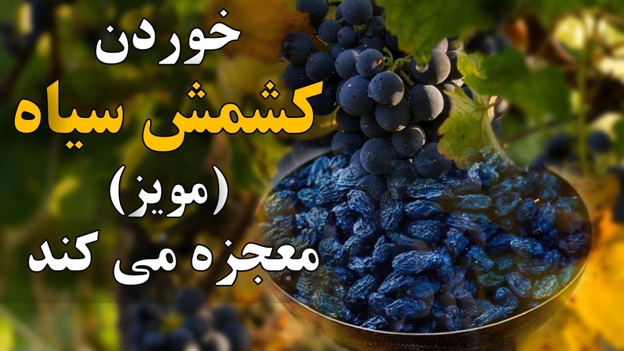 خواص جادویی کشمش سیاه یا مویز | parsi dari