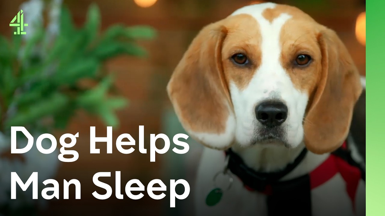 Beagle helps an ex-police officer with PTSD | The Dog House 🐶 | Dog Stories
