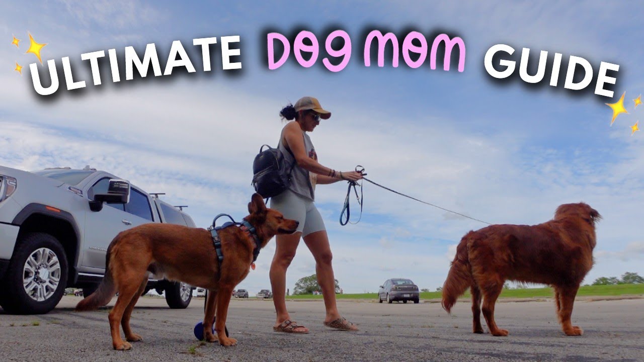 How To Be The Best Dog Mom | Tips and Tricks