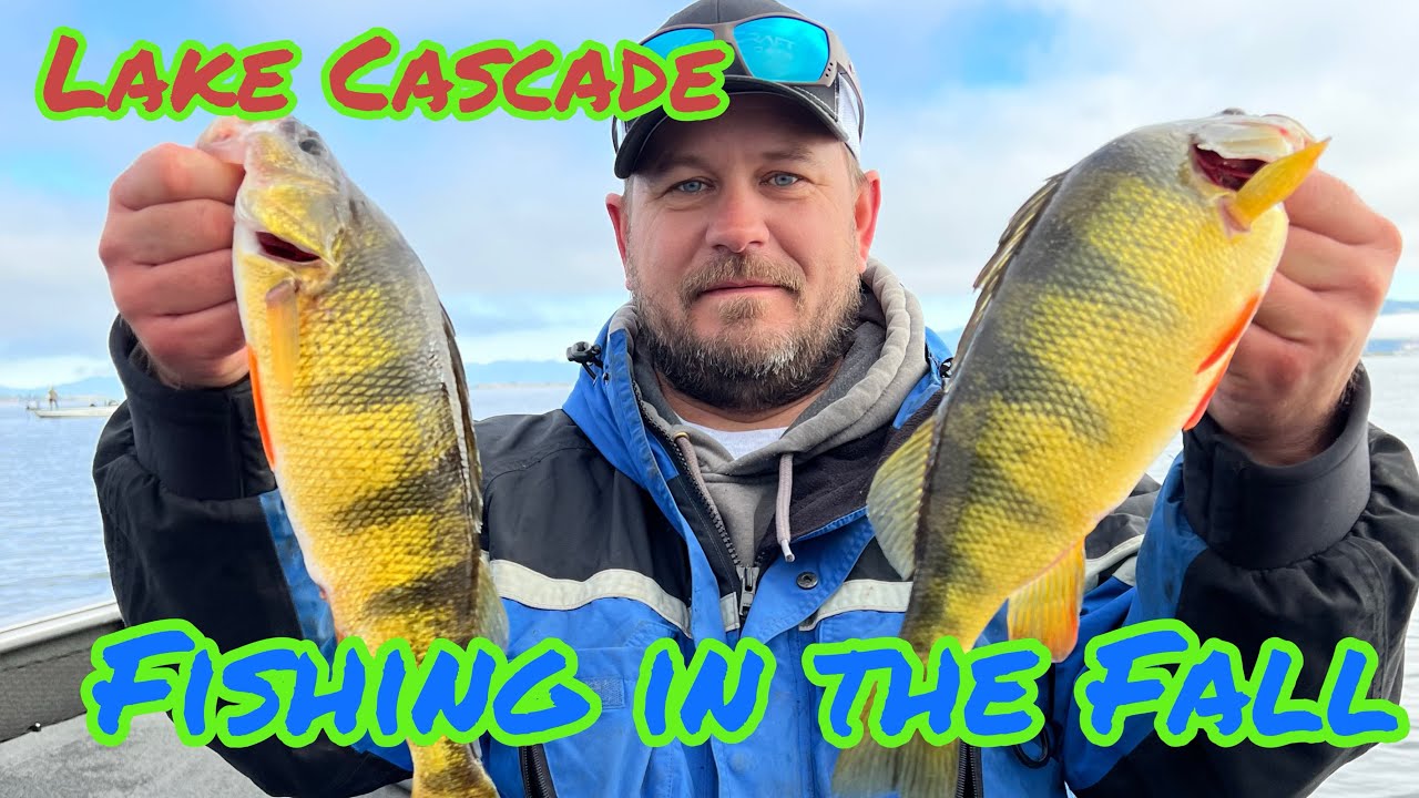 Lake Cascade Perch Fishing, Nonstop Catching in the Fall (Mega School)