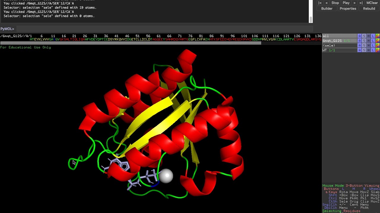 HRAS protein introduction
