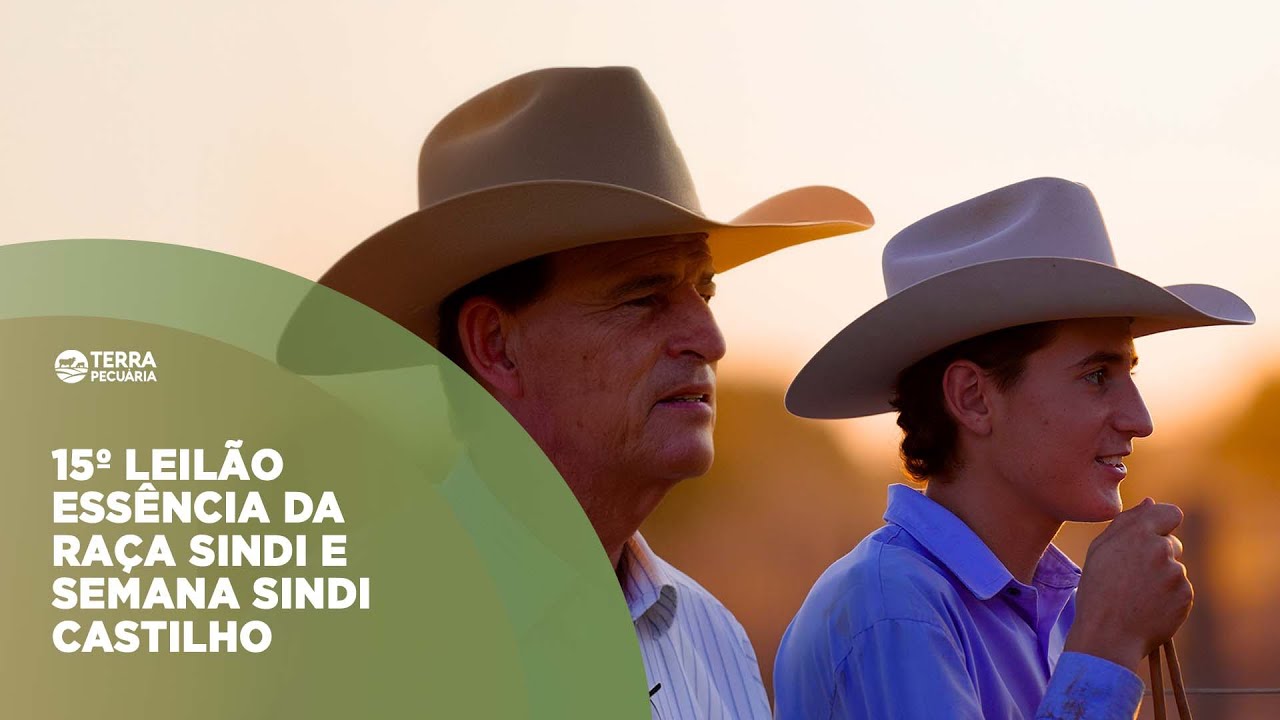 TERRA PECUÁRIA - 15º LEILÃO ESSÊNCIA DA RAÇA SINDI E SEMANA SINDI CASTILHO