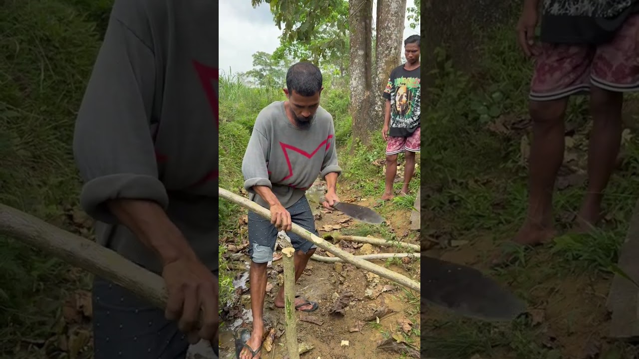 Paliguan ng kalabaw.