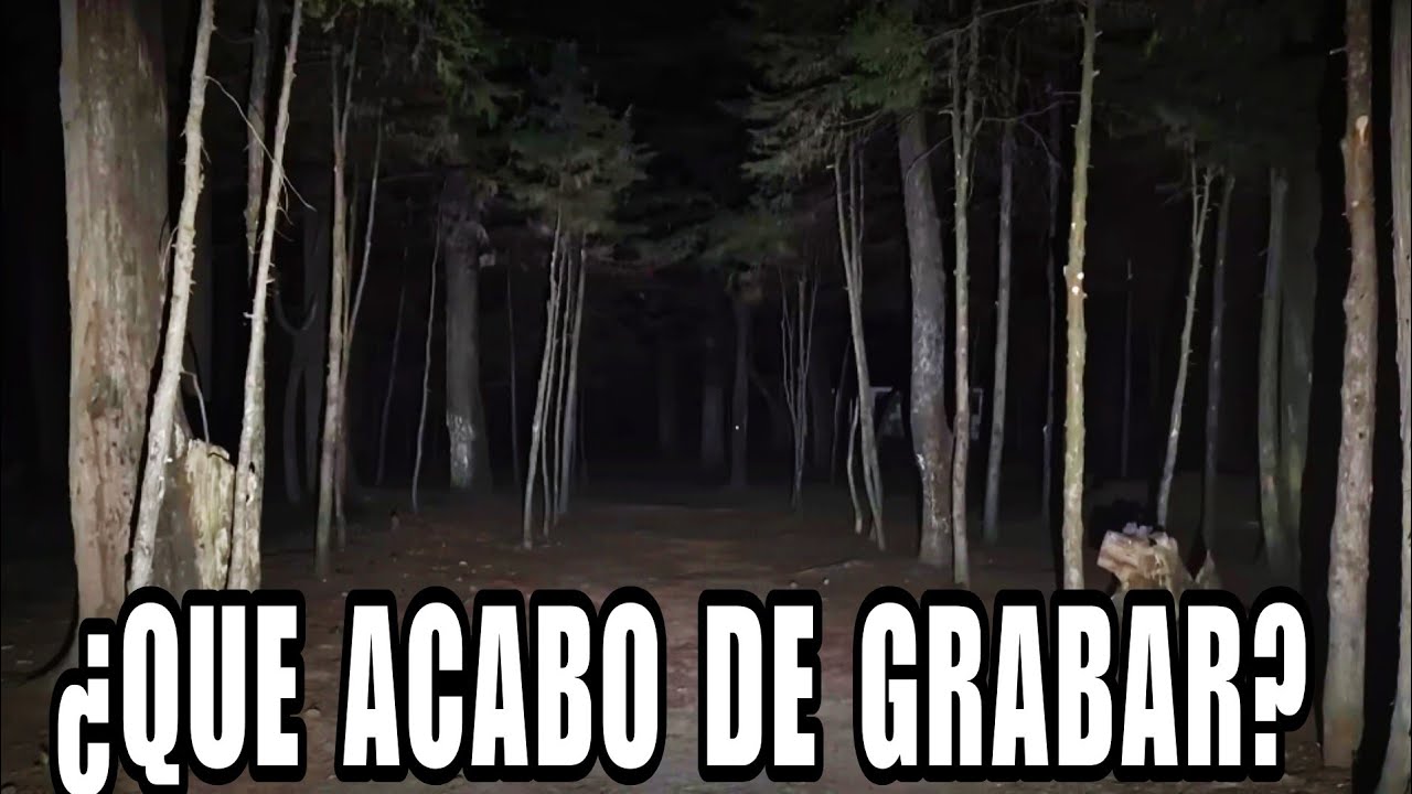 DEBEN PROHIBIR YA LA ENTRADA AQUÍ A TODOS URGENTEMENTE, ESTO ME SOBREPASA!! PT. 2