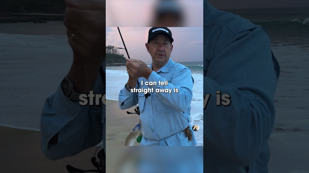 Catching WHITING - TOP FISH! #beachfishing #beachworms #whiting