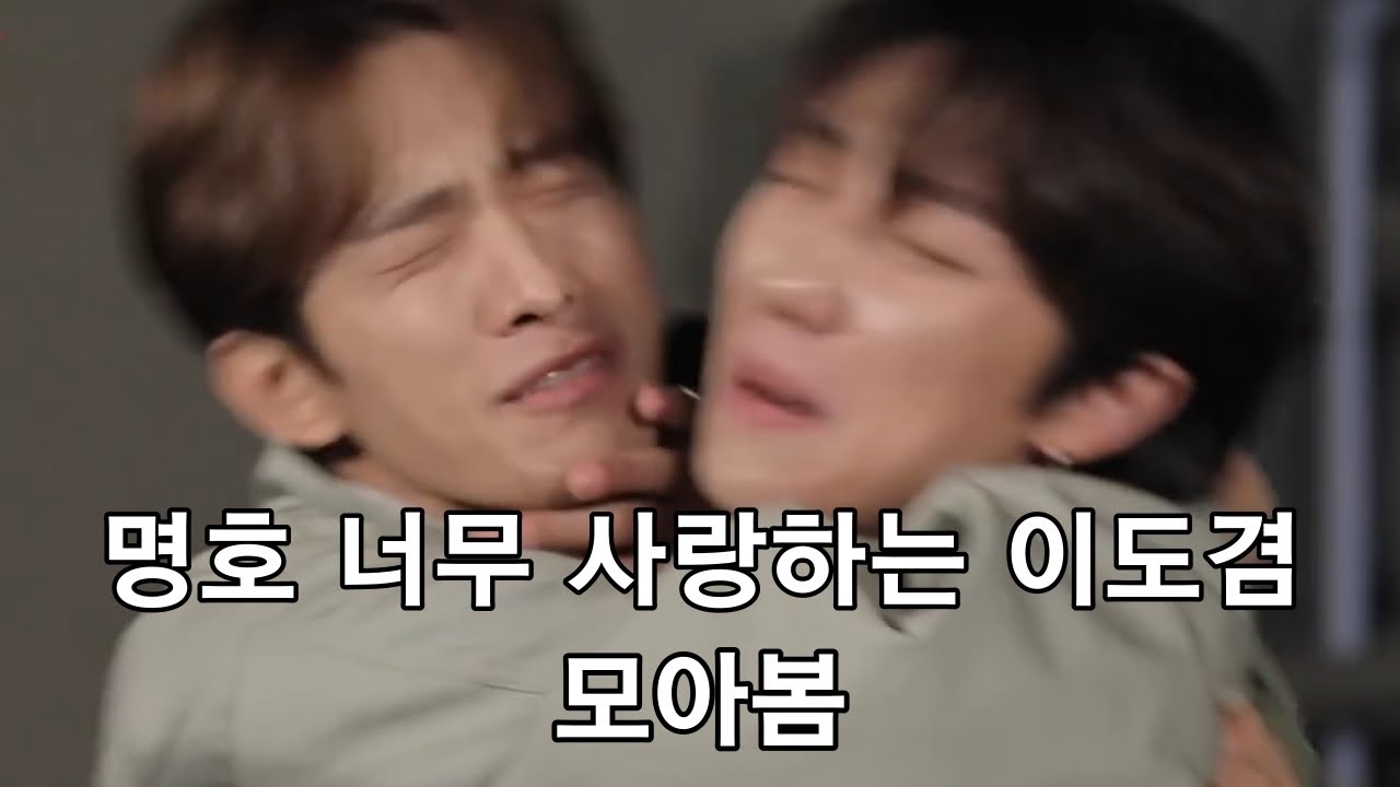 [세븐틴] 이도겸은 서명호 없었으면 어쩔뻔 (+그런 도겸이가 명호에게 쓴 생일편지)