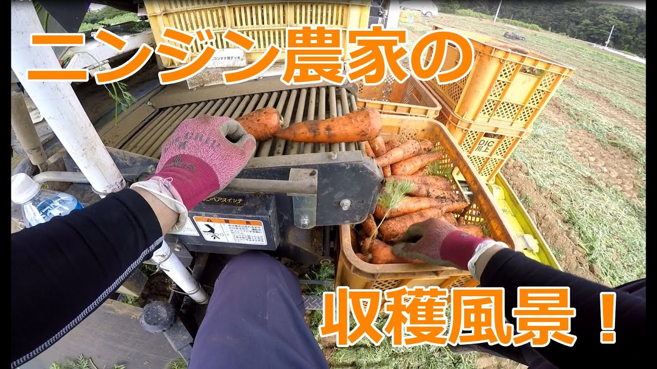 驚きのニンジン収穫機械とは？